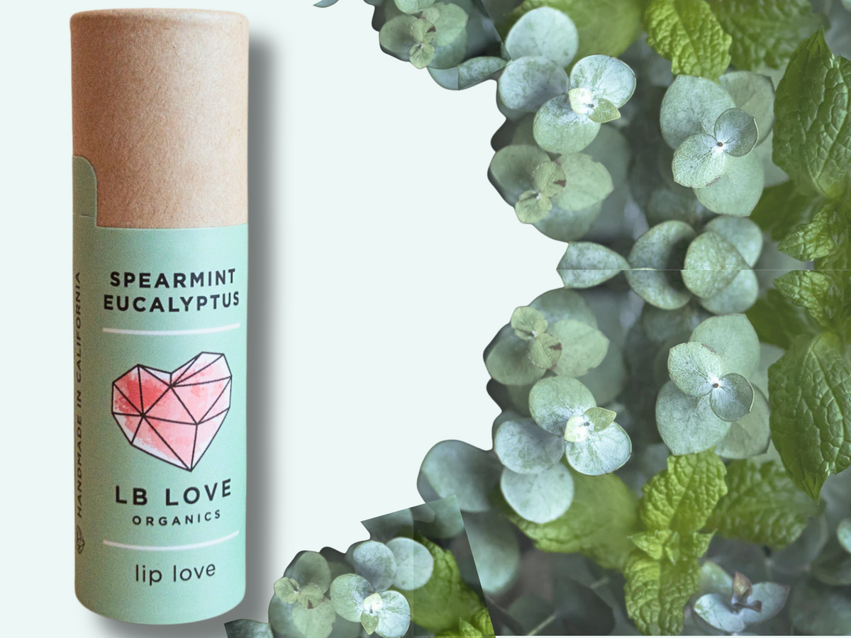 Spearmint Eucalyptus Organic Lip Love Zero Waste